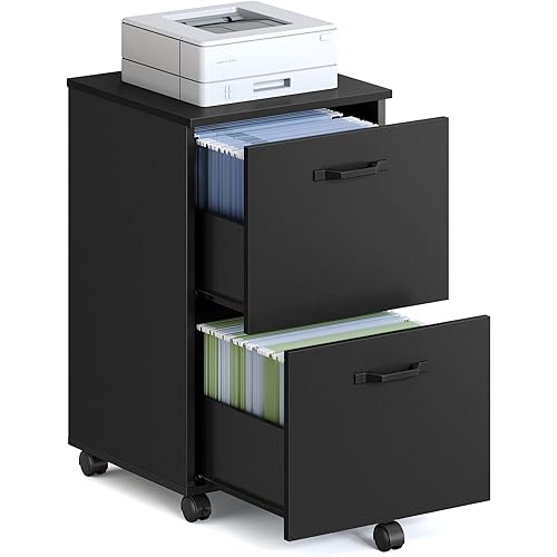WISSEN WOOD OO41042 2-Drawer Rolling Home Office File, 2-Drawer File Cabinet, Small Rolling Filing Cabinet for Home Office, Printer Stand, for A4, Letter-Size Documents, 15.7 x 16.5 x 27.6 Inches, Ink Black, Made in Vietnam